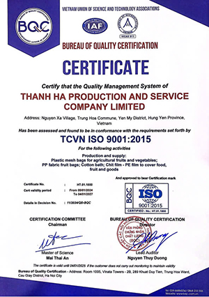 Trang chủ Trang chủ